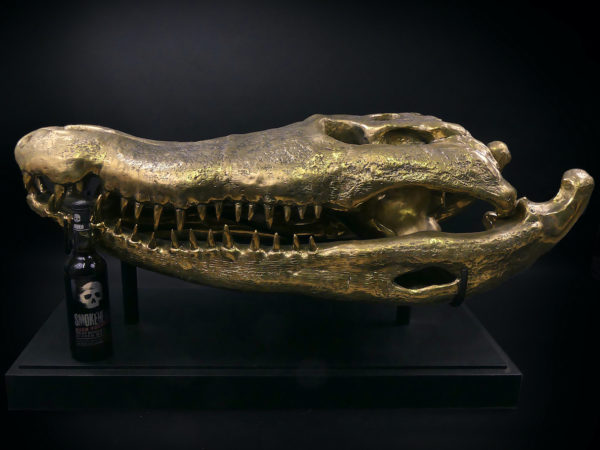 Grand crâne de crocodile en bronze recyclé doré sur socle noir (profil proportion)