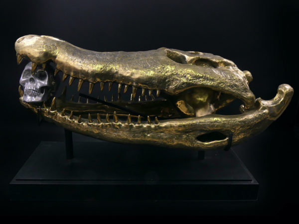 Grand crâne de crocodile en bronze recyclé doré sur socle noir (profil)