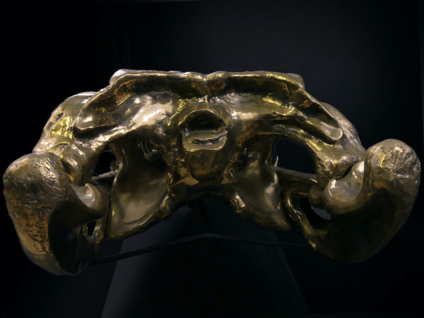 Grand crâne de crocodile en bronze recyclé doré sur socle noir (dos)