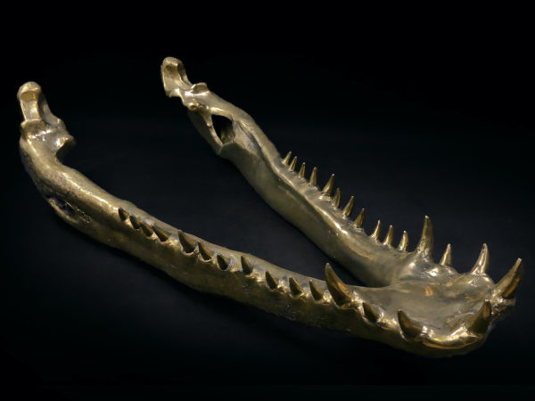 Grand crâne de crocodile en bronze recyclé doré sur socle noir (mandibule)