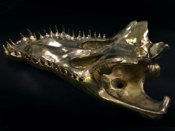 Grand crâne de crocodile en bronze recyclé doré sur socle noir (dessous 3/4)