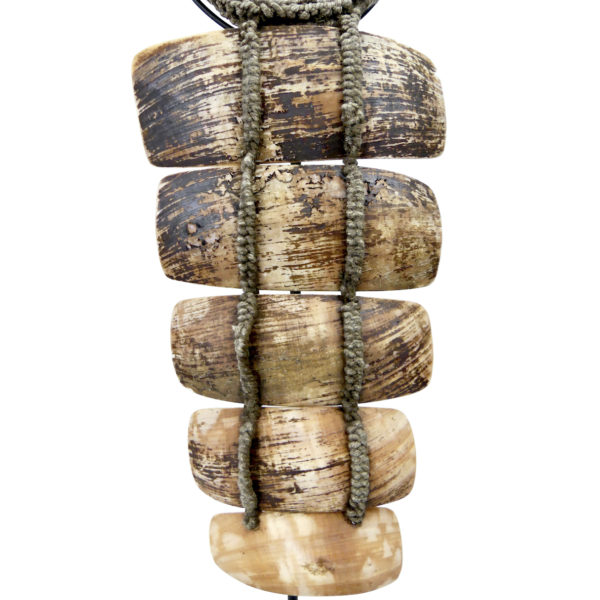 Collier papou en lamelles de coquillage sur base tressée sur socle (détail)