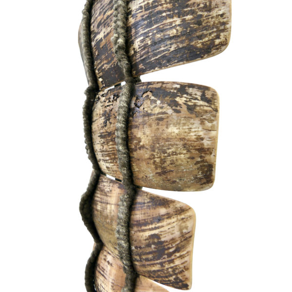 Collier papou en lamelles de coquillage sur base tressée sur socle (détail)
