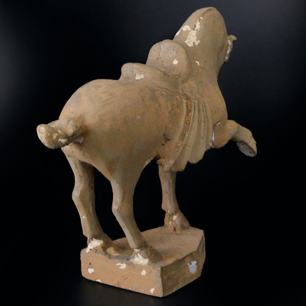 Grand cheval de parade traditionnel chinois style Tang (3/4 dos)