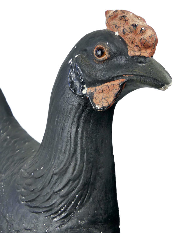 Modèle anatomique de poule rare didactique plâtre SOMSO 1920 (détail)