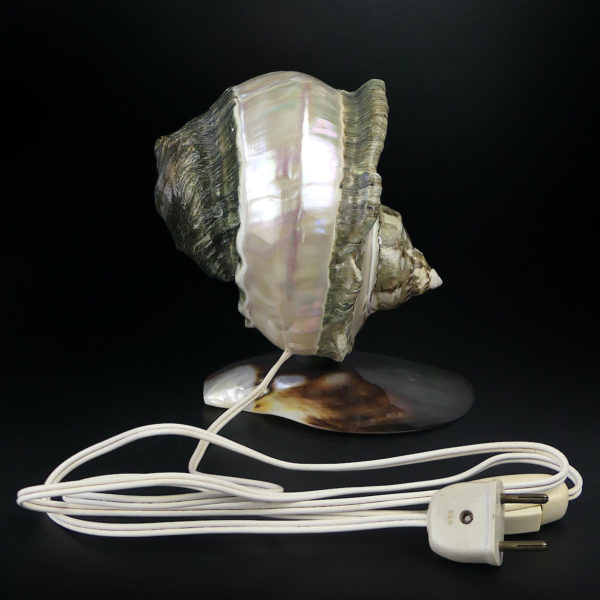 Lampe d’ambiance tahitienne coquillage Objet souvenir (profil)