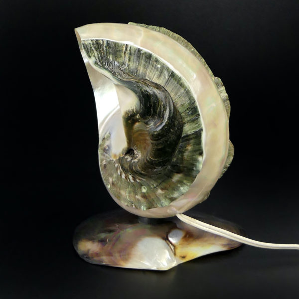 Lampe d’ambiance tahitienne coquillage Objet souvenir (profil)