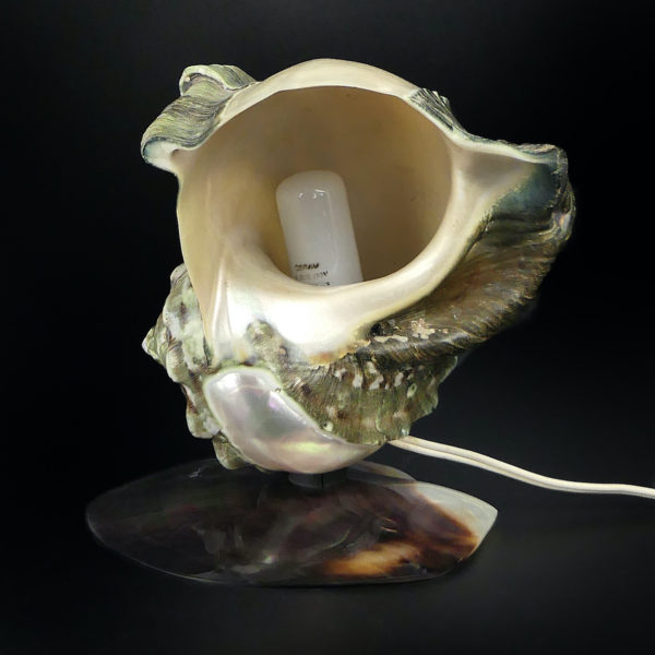 Lampe d’ambiance tahitienne coquillage Objet souvenir (dos)