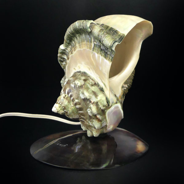 Lampe d’ambiance tahitienne coquillage Objet souvenir (3/4)