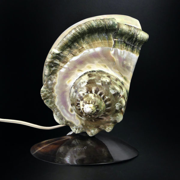 Lampe d’ambiance tahitienne coquillage Objet souvenir (face)