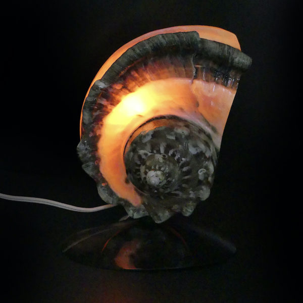 Lampe d’ambiance tahitienne coquillage Objet souvenir (face allumée)