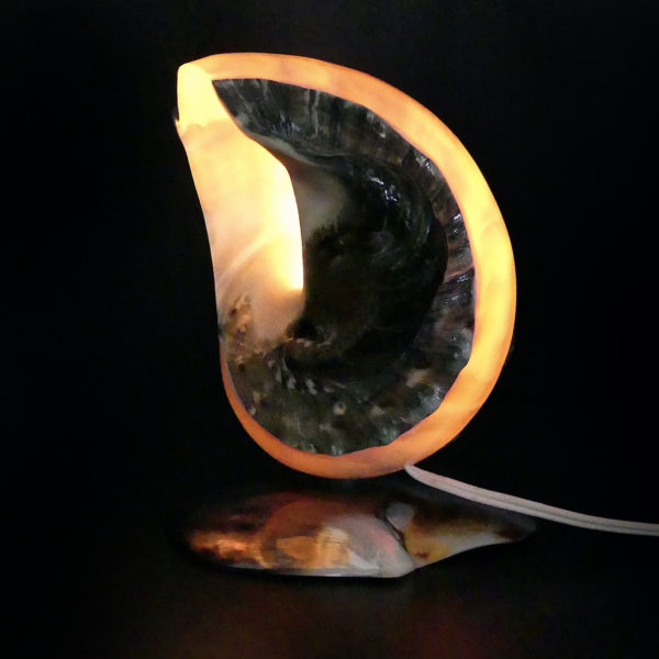 Lampe d’ambiance tahitienne coquillage Objet souvenir (profil allumée)