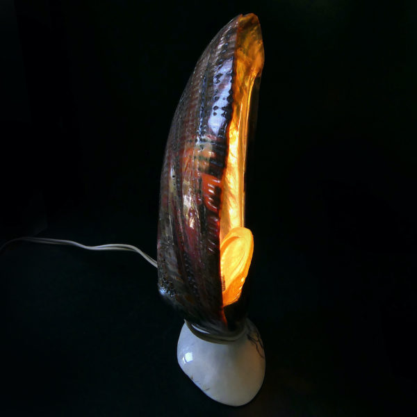 Lampe d’ambiance ormeaux et coquillage Royan Années 50 (profil allumée)