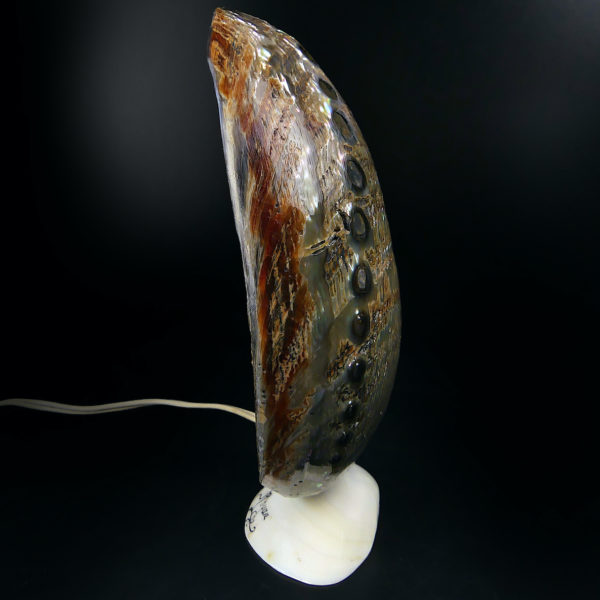 Lampe d’ambiance ormeaux et coquillage Royan Années 50 (profil)