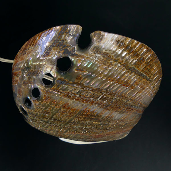 Lampe d’ambiance ormeaux et coquillage Royan Années 50 (dessus)