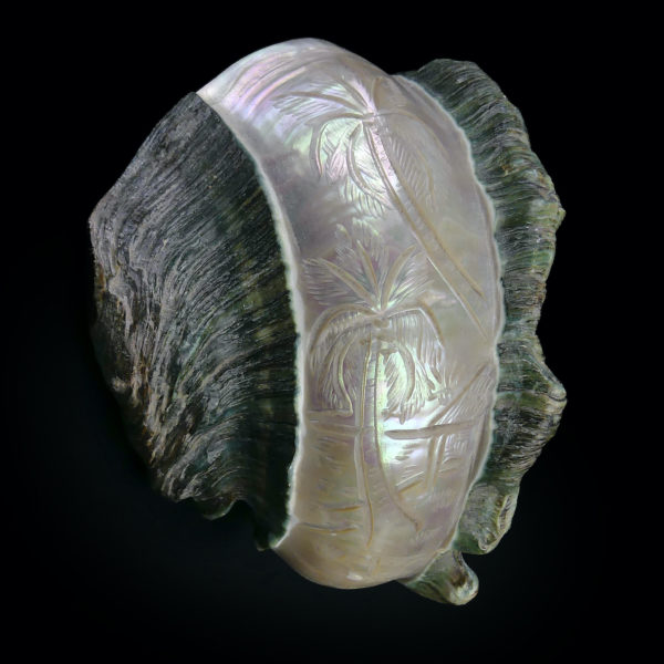 Coquillage gravé Turbo Marmoratus vert et nacre ciselée (profil)
