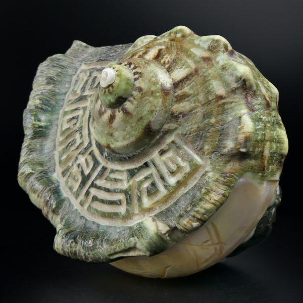 Coquillage gravé Turbo Marmoratus vert et nacre ciselée (3/4)