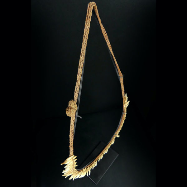 Grand collier Asmat rare constitué de 75 dents de chien sur socle 1950 (3/4)