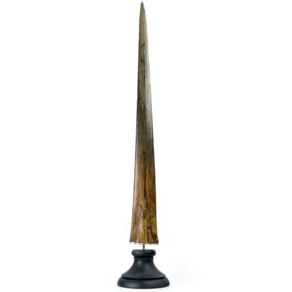 Grand bec Xiphias gladius ancien sur pied Taxidermie Curiosité marine (face)