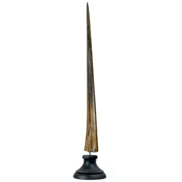 Grand bec Xiphias gladius ancien sur pied Taxidermie Curiosité marine (3/4)