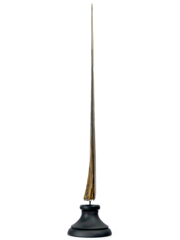 Grand bec Xiphias gladius ancien sur pied Taxidermie Curiosité marine (profil)