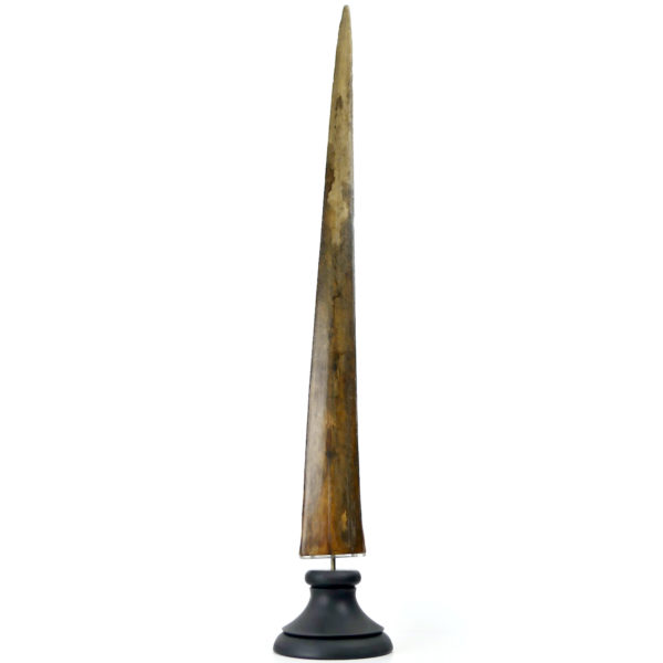 Grand bec Xiphias gladius ancien sur pied Taxidermie Curiosité marine (dos)