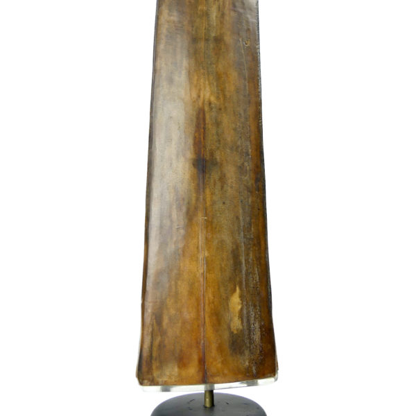 Grand bec Xiphias gladius ancien sur pied Taxidermie Curiosité marine (détail)