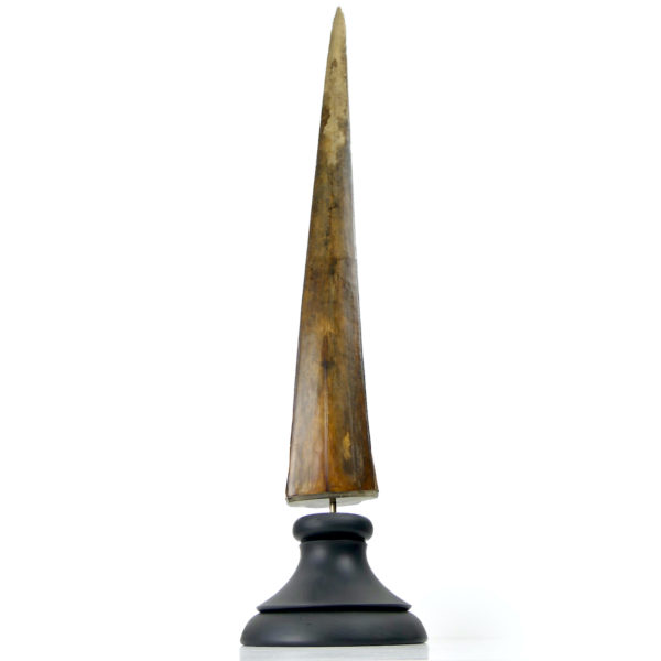 Grand bec Xiphias gladius ancien sur pied Taxidermie Curiosité marine (dos)