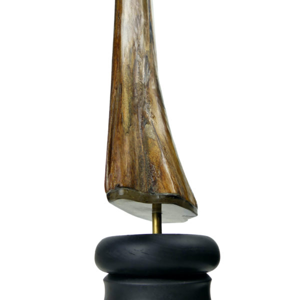 Grand bec Xiphias gladius ancien sur pied Taxidermie Curiosité marine (détail)