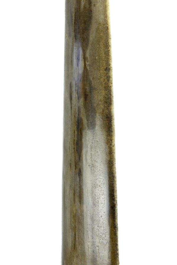 Grand bec Xiphias gladius ancien sur pied Taxidermie Curiosité marine (détail)