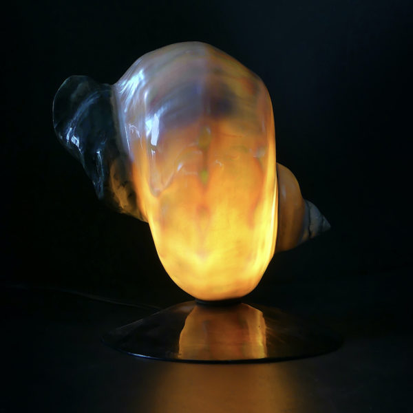 Lampe d’ambiance tahitienne coquillage Turbo Marmoratus vert et nacre (allumée dos)