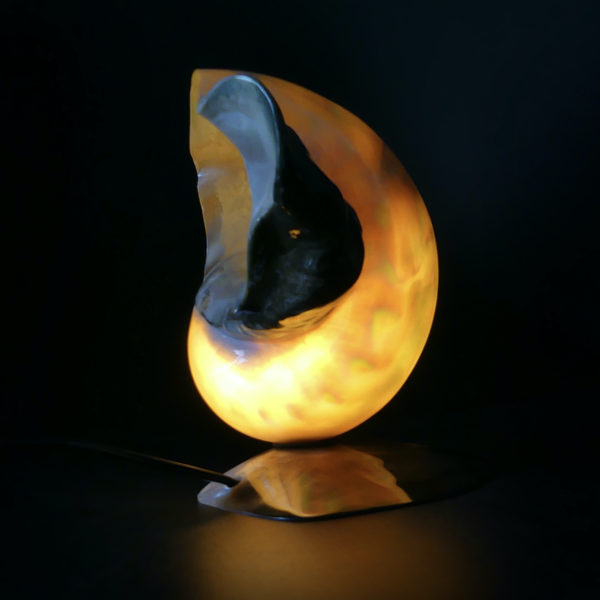 Lampe d’ambiance tahitienne coquillage Turbo Marmoratus vert et nacre (allumée profil)