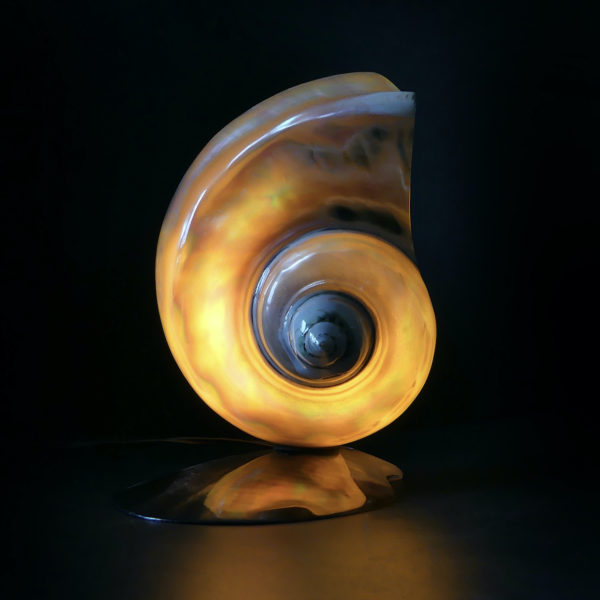 Lampe d’ambiance tahitienne coquillage Turbo Marmoratus vert et nacre (allumée face)