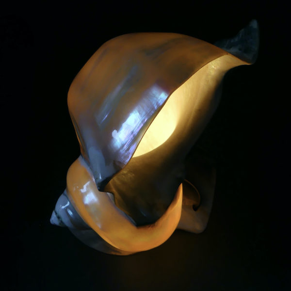 Lampe d’ambiance tahitienne coquillage Turbo Marmoratus vert et nacre (allumée dessus)