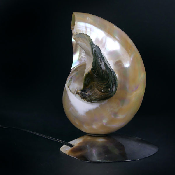 Lampe d’ambiance tahitienne coquillage Turbo Marmoratus vert et nacre (profil)