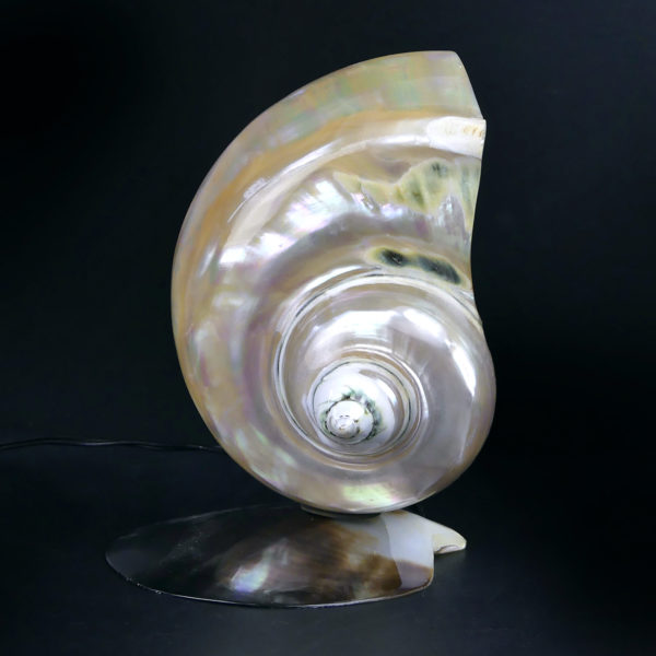Lampe d’ambiance tahitienne coquillage Turbo Marmoratus vert et nacre (face)