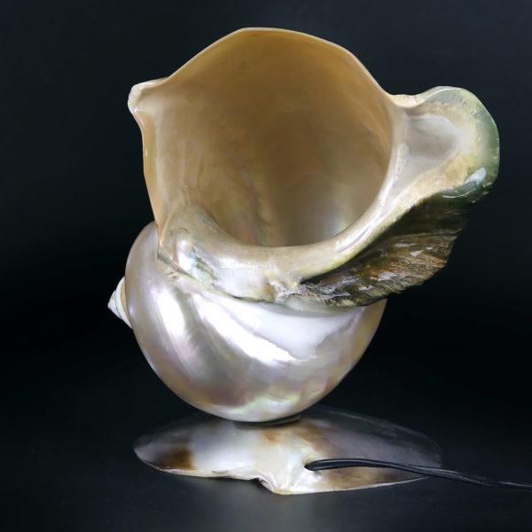 Lampe d’ambiance tahitienne coquillage Turbo Marmoratus vert et nacre (profil)