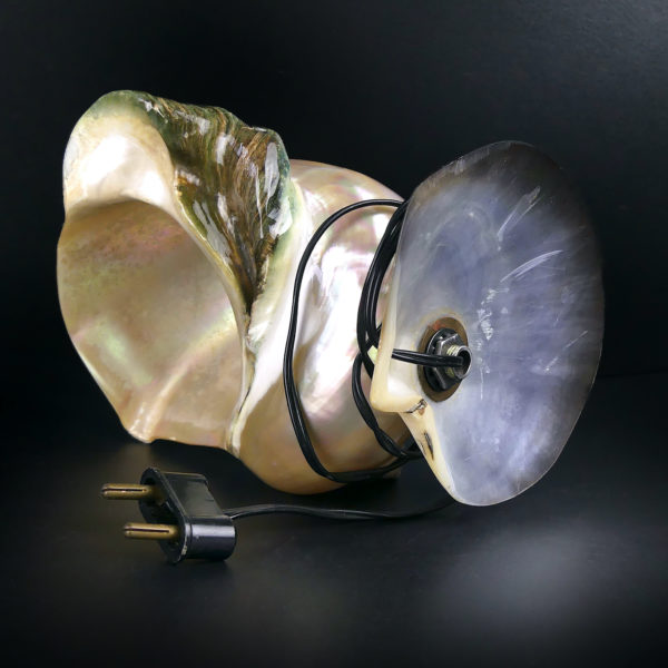 Lampe d’ambiance tahitienne coquillage Turbo Marmoratus vert et nacre (dessous)