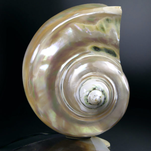 Lampe d’ambiance tahitienne coquillage Turbo Marmoratus vert et nacre (détail)