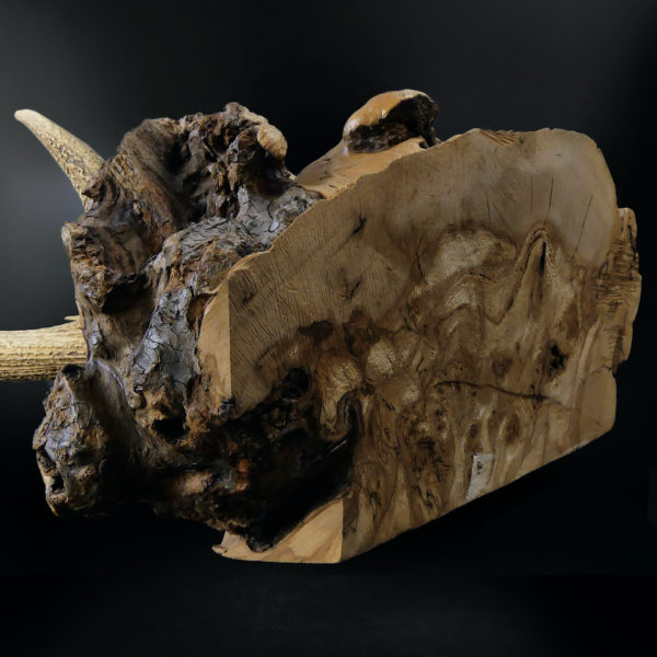 Superbe katana kake en loupe de bois et bois de cerf Daishō Shōwa (détail)