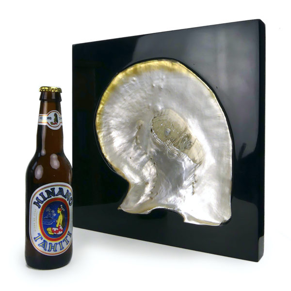 Grande coquille d’huître perlière Pinctada maxima inclusion sur chevalet (proportion)