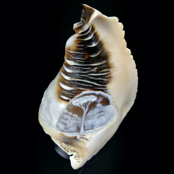 Lampe d’ambiance coquillage ciselé sur pied Début XXe Camée Napoli (dessus 3/4)