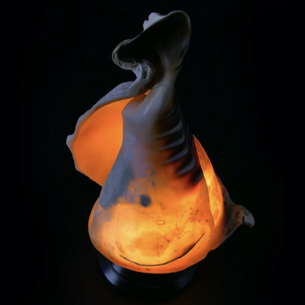 Lampe d’ambiance coquillage ciselé sur pied Début XXe Camée Napoli (allumée)