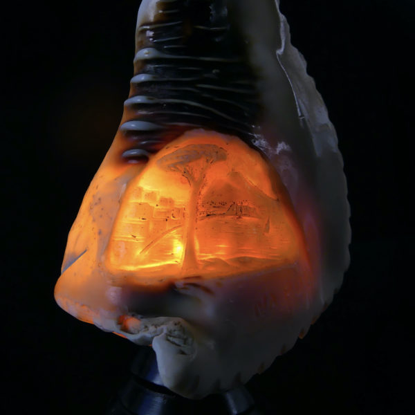 Lampe d’ambiance coquillage ciselé sur pied Début XXe Camée Napoli (allumée détail)