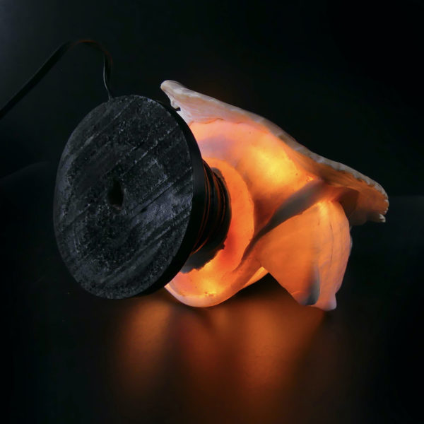 Lampe d’ambiance coquillage ciselé sur pied Début XXe Camée Napoli (dessous 3/4)