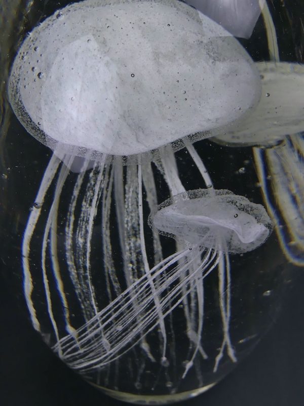 Grande sulfure 3 méduses blanches phosphorescentes en verre (détail)