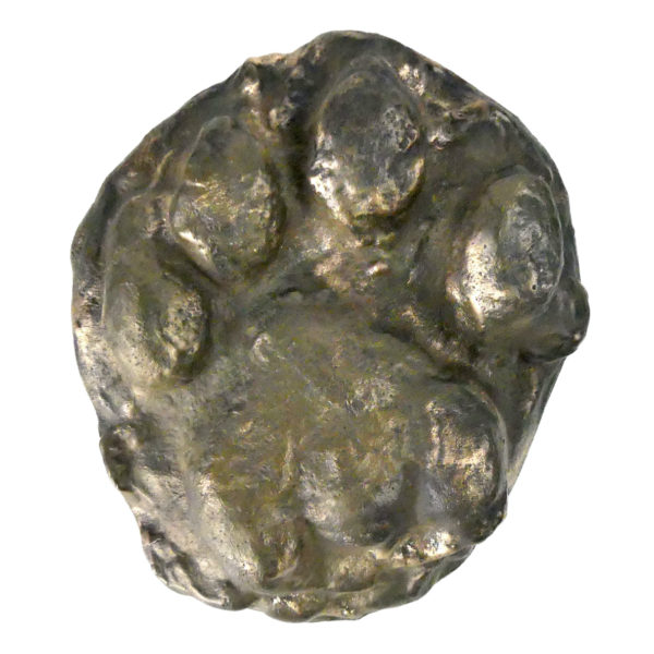 Empreinte de patte d’ours brun moulé en bronze massif (face)