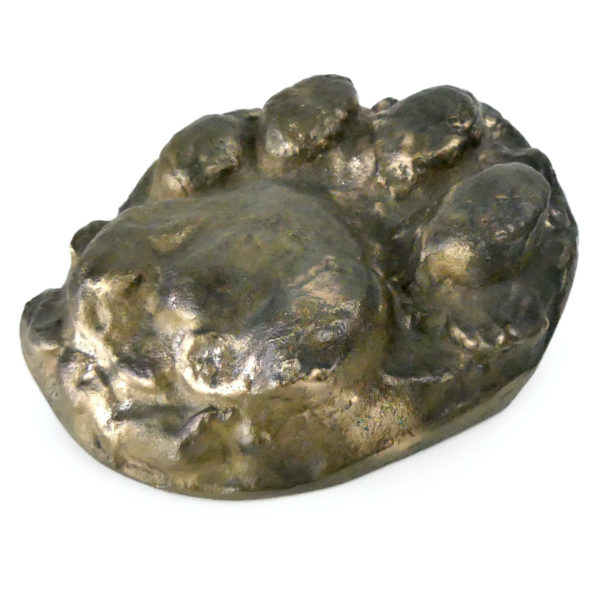 Empreinte de patte d’ours brun moulé en bronze massif (3/4)
