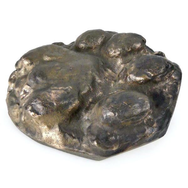 Empreinte de patte d’ours brun moulé en bronze massif (profil)