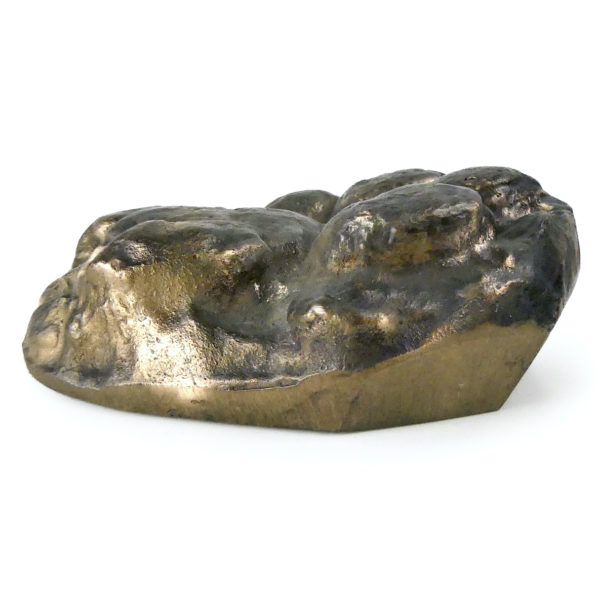 Empreinte de patte d’ours brun moulé en bronze massif (profil)